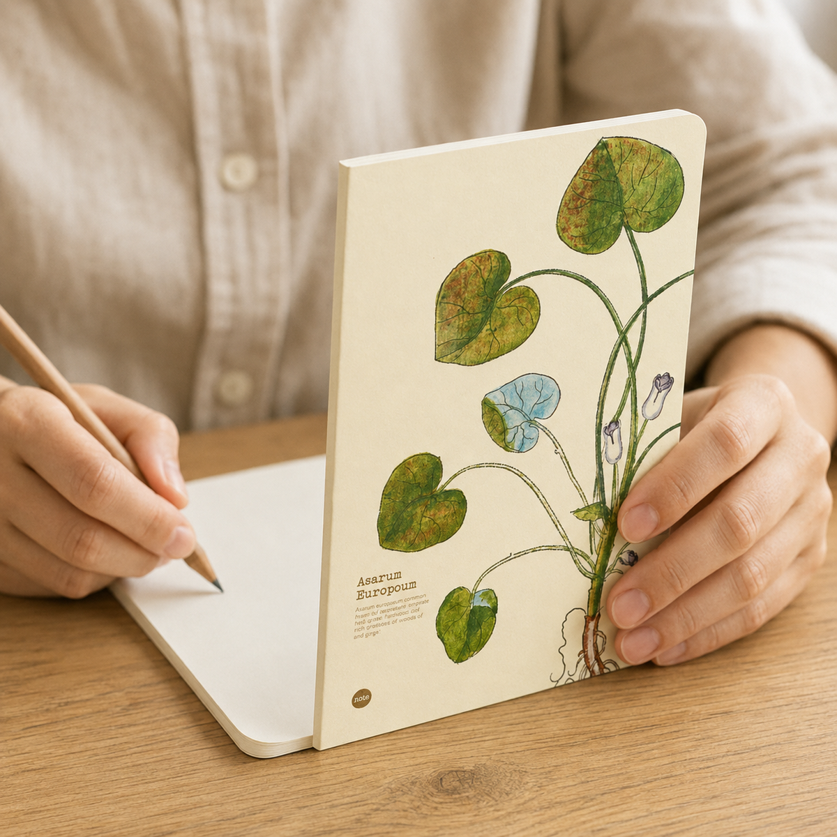 Asarum Europaeum Illustrated Herb Bare-Spine Blank Journal lifestyle 04
