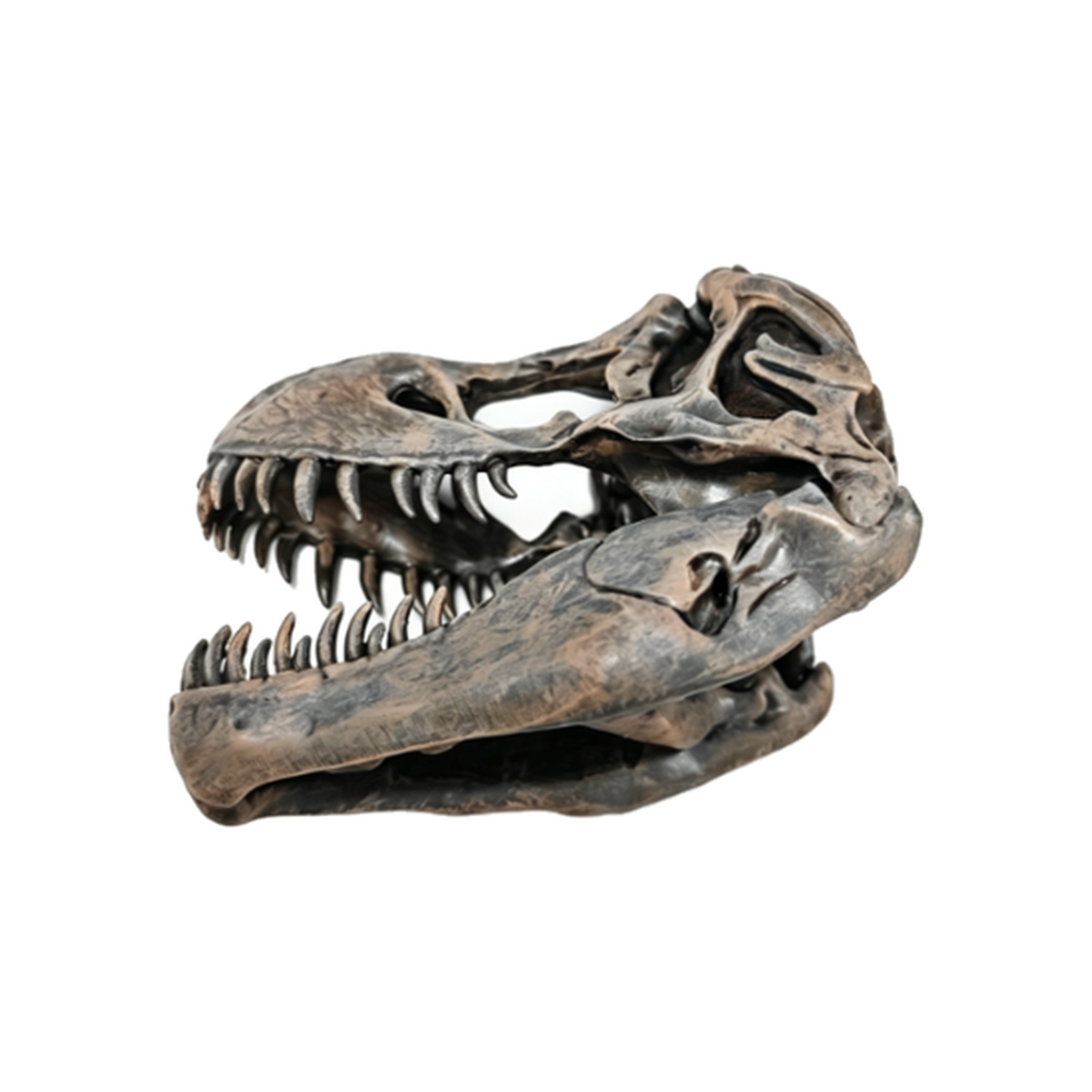 Resin Fridge Magnets - Tyrannosaurus 1