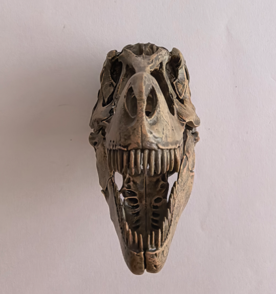 Resin Fridge Magnets - Tyrannosaurus 1
