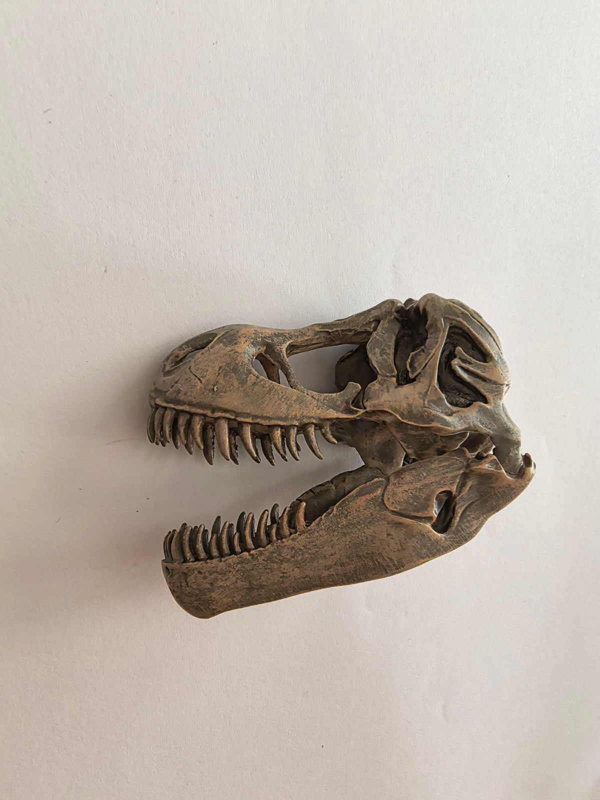 Resin Fridge Magnets - Tyrannosaurus 1