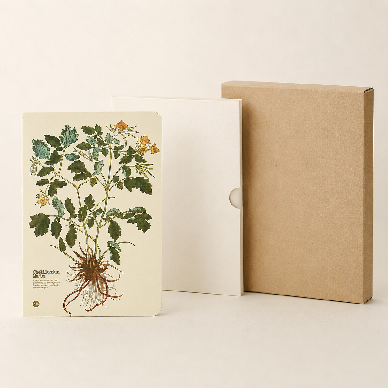 Chelidonium Majus illustrated herb journal packaging image