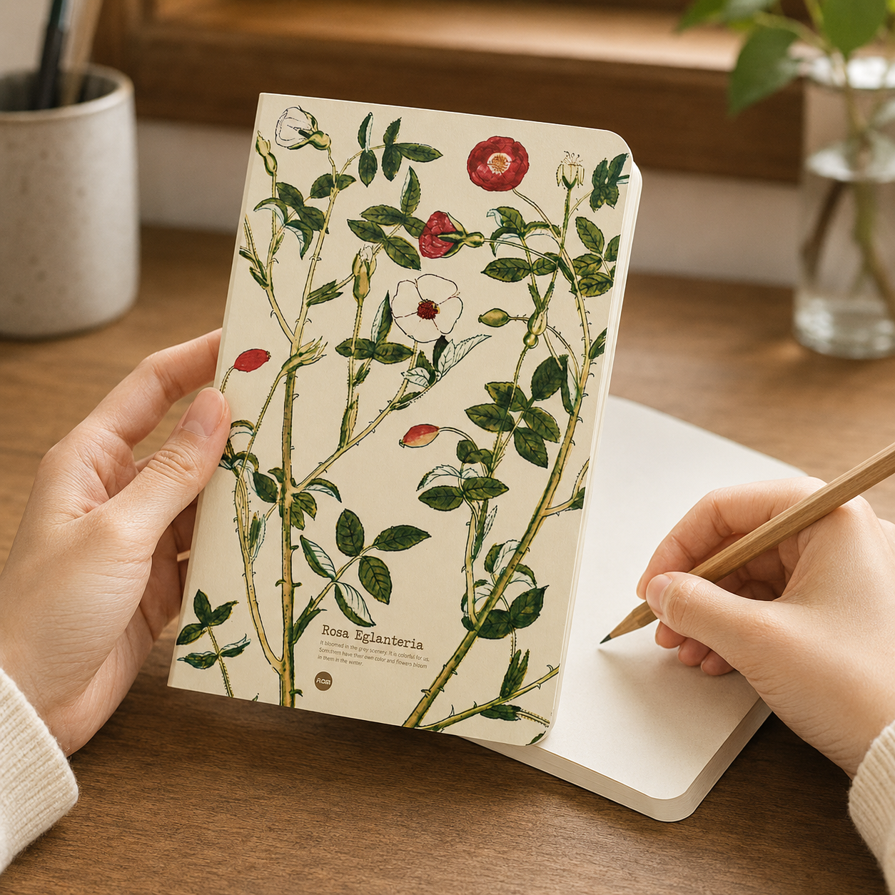 Rosa Eglanteria illustrated herb journal lifestyle image