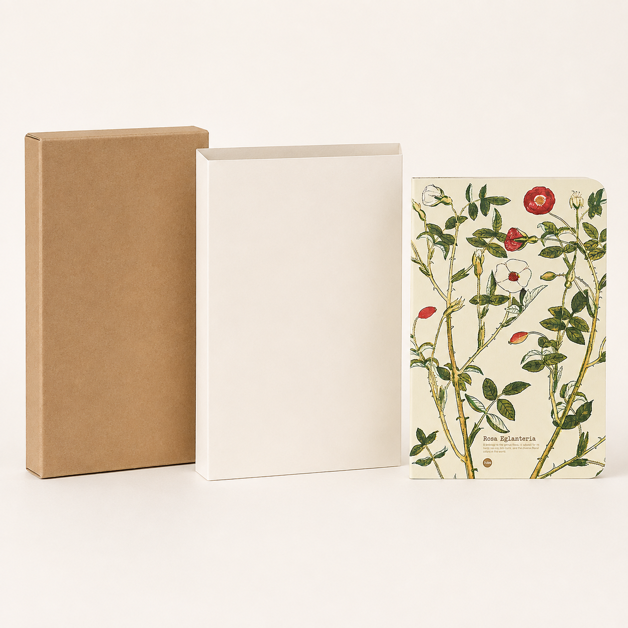 Rosa Eglanteria illustrated herb journal packaging image