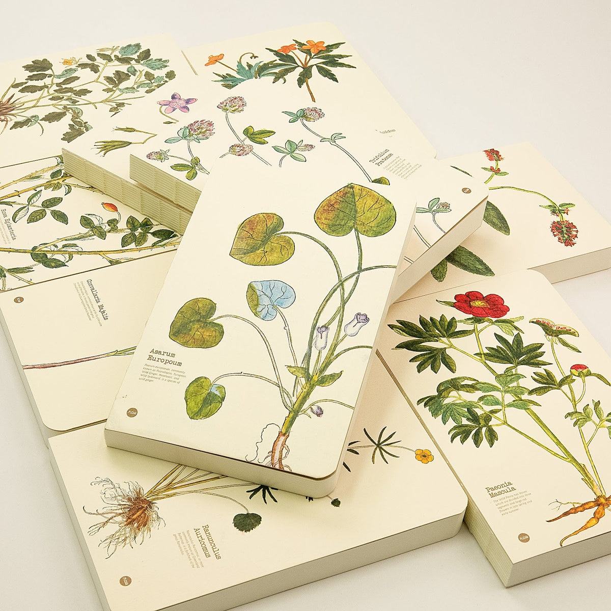 Illustrated Herb collection
