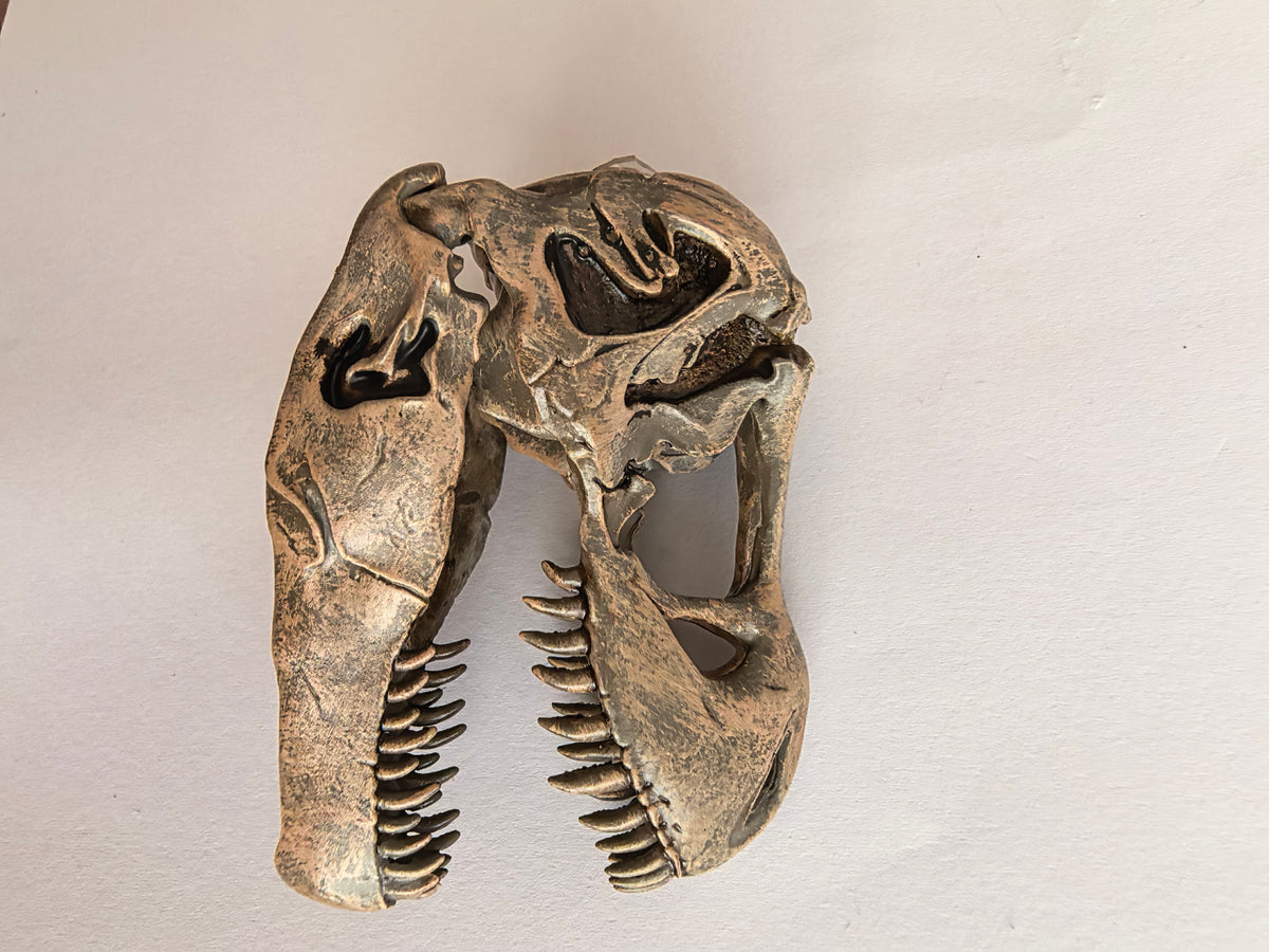 Resin Fridge Magnets - Tyrannosaurus 1