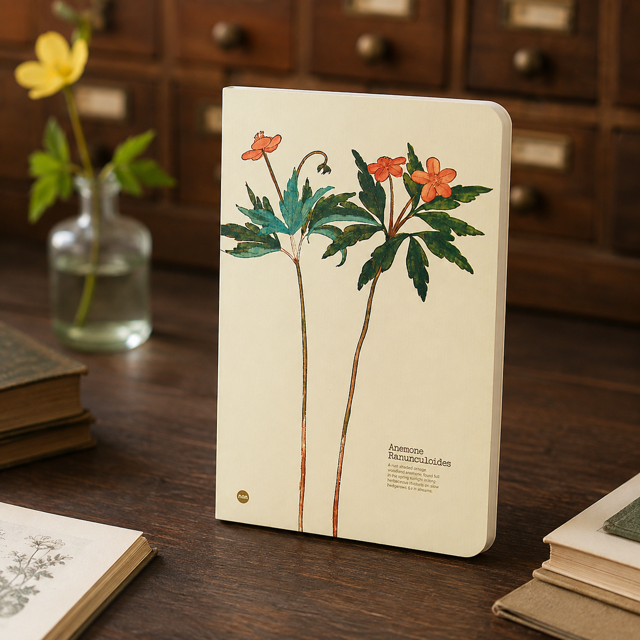 Anemone Ranunculoides illustrated herb journal lifestyle image