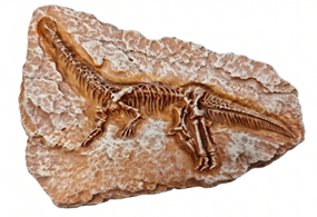 Dinosaur Fossil Fridge Magnet - 3.45 x 2.55 in