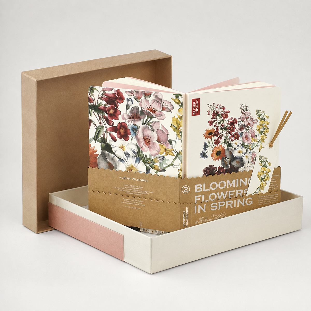 Dwarf Morning Glory (Convolvulus Tricolor) - packaging