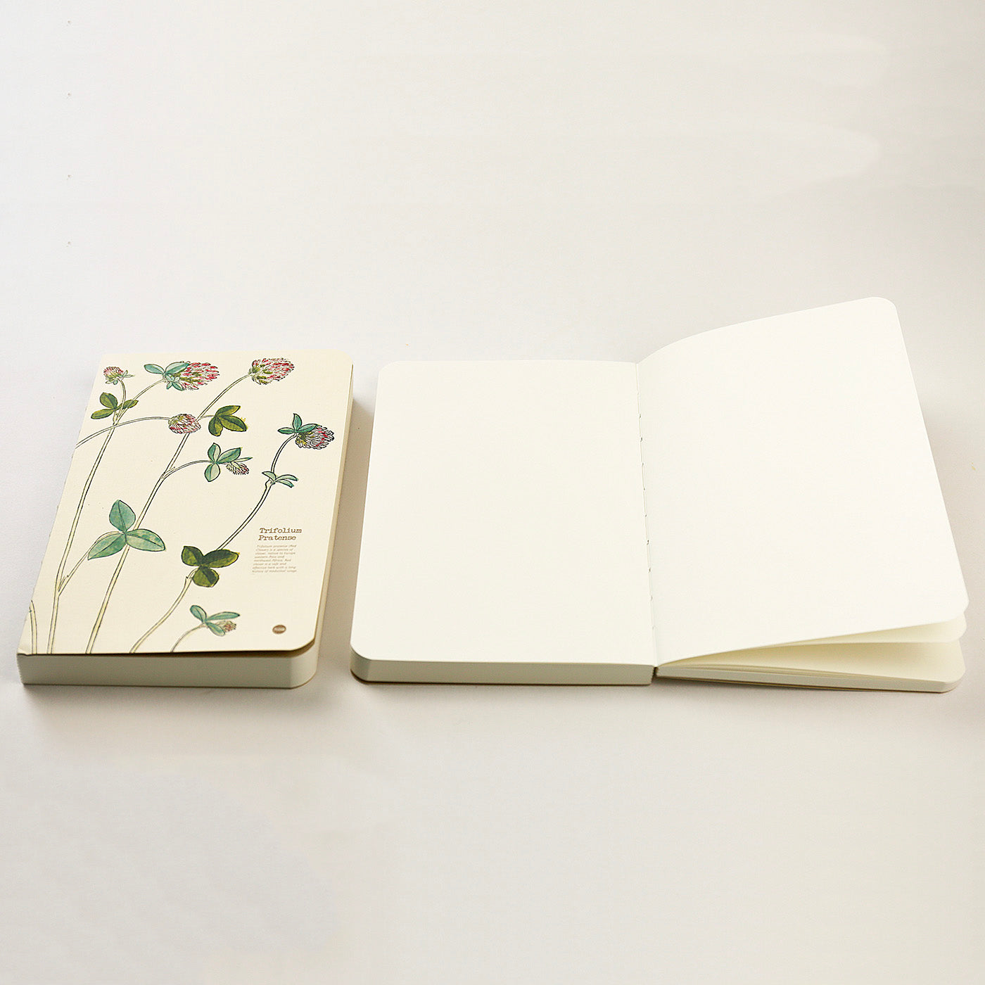 Illustrated Herb journal product detail image