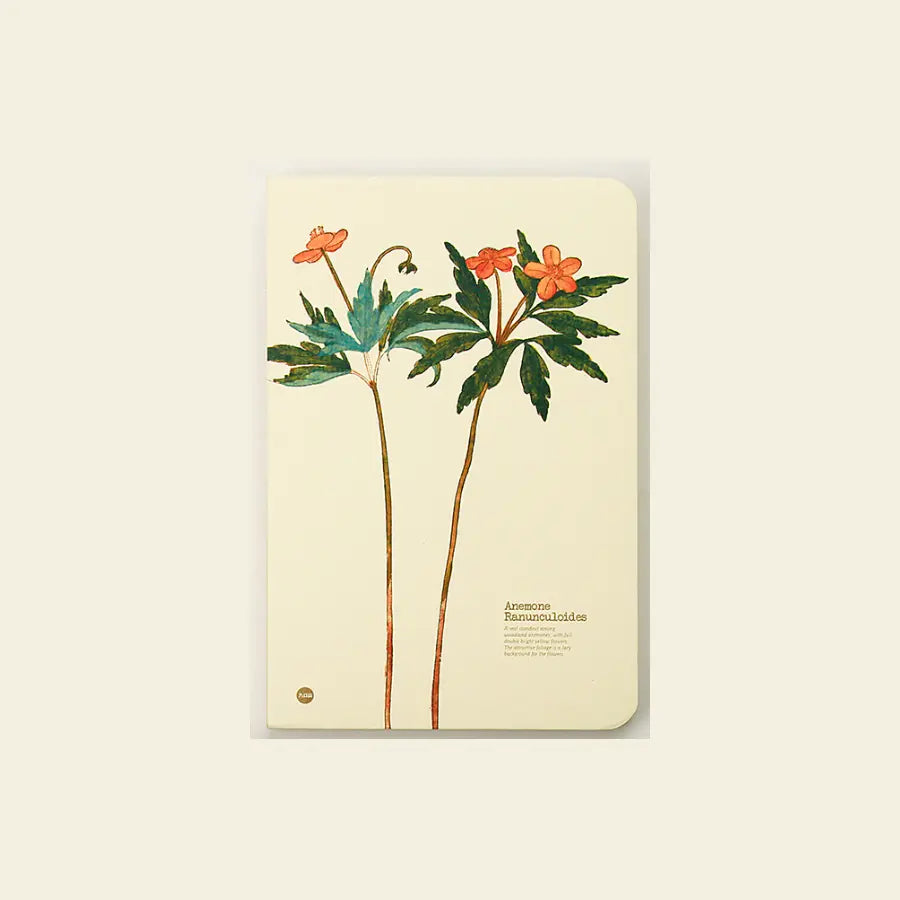 Anemone ranunculoides notebook