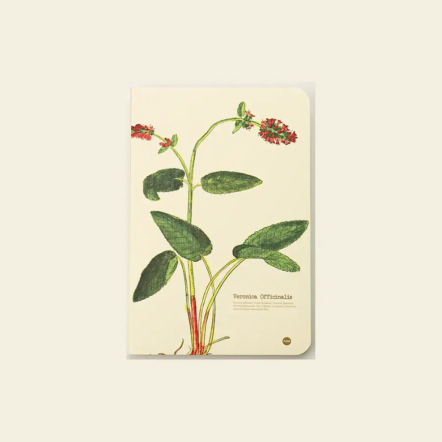 Veronica officinalis notebook